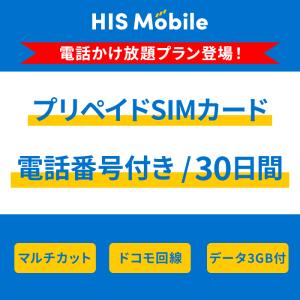 通話かけ放題プリペイドSIM 30日間3GBの商品画像