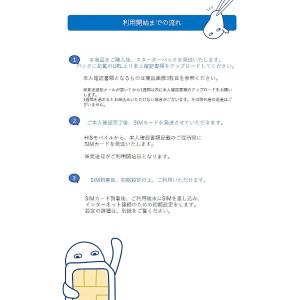 通話かけ放題プリペイドSIM 30日間3GBの詳細画像1