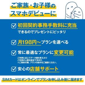【HISモバイル】エントリーパッケージ 格安S...の詳細画像2