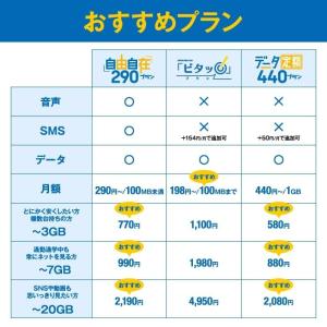 【HISモバイル】エントリーパッケージ 格安S...の詳細画像3