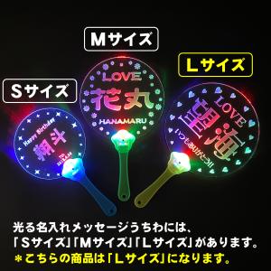 【メール便送料無料】Lサイズ 光る アクリル ...の詳細画像1