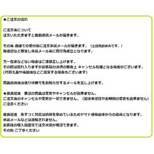 【ゆうパケットで送信無料】富士フィルム FUJ...の詳細画像2