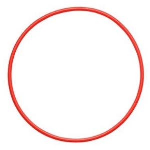 OLYMPUS オリンパス Oリング POL-058 PT-058 PT-059用 防水用パッキン