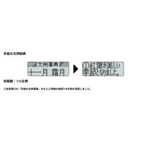 【ゆうパケットプラスで送料無料】カシオ電子辞書...の詳細画像1