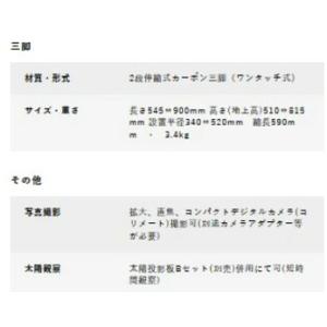 【メーカー直送】 【送料無料】Vixen・ビク...の詳細画像2
