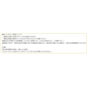 【送料無料】Vixen・ビクセン コレクターPHの詳細画像5