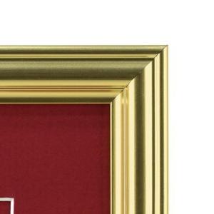 【送料無料】VANJOH 万丈 EX賞状額 A...の詳細画像2