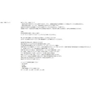 【ゆうパケットプラスで送料無料】REVEX リ...の詳細画像5