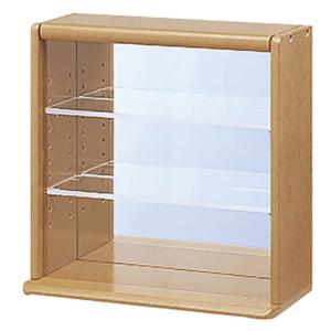 【送料無料】Nakabayashi ナカバヤシ コレクションケースミニ透明アクリル棚板タイプ CCM...