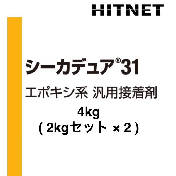 シーカデュア31　4kg/箱（2kgセット×2）