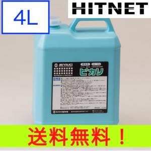 ミヤキ ピカソ 4L｜hit-net