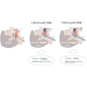 ズィークヮィェット ZQuiet 米国製 サイ...の詳細画像1