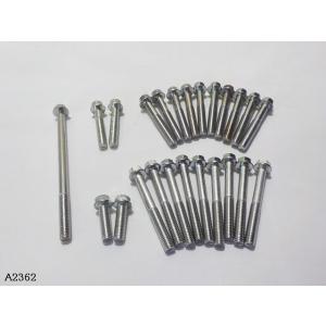 汎用エンジンカバーメッキボルトセット(1)