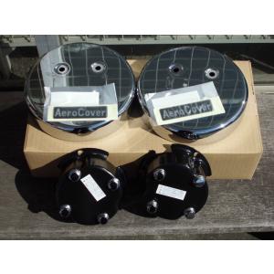 日野グランドプロフィア リア10穴用 エアロセンターカバー左右セット