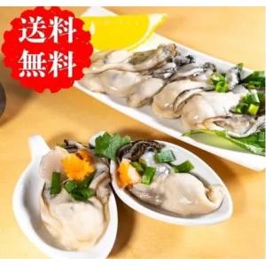 牡蠣 むき身 500g 生牡蠣 4-5人用 宮...の詳細画像1
