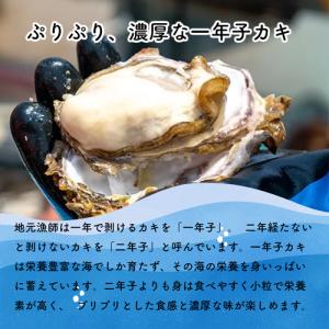 牡蠣 むき身 500g 生牡蠣 4-5人用 宮...の詳細画像2