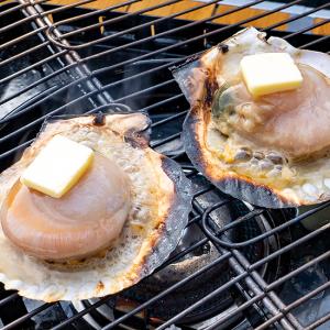 宮城県産 殻付き ホタテ 刺身 10枚 BBQ...の詳細画像4