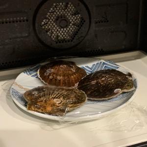 宮城県産 殻付き ホタテ 刺身 10枚 BBQ...の詳細画像5
