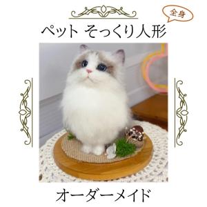 犬 猫 オーダーメイド 人形 全身 植毛可能 ペットドール メモリアル わん にゃん