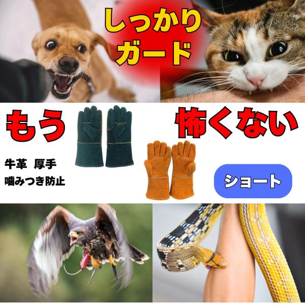 ペットグローブ 犬 噛みつき防止 ペット 手袋 噛みつき 防止 手袋 猫 犬 グローブ セーフティグ...