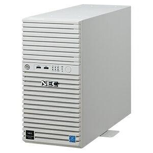 NEC Express5800/D/T110k Xeon E-2314 4C/8GB/SATA 2TB*2 RAID1/W2022/タワー 3年保証 NP8100-2902YQ1Y｜hitline