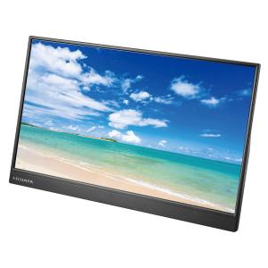 エスケイネット（SKNET） 15.6型液晶デジタルハイビジョンモニター SK
