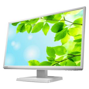 エスケイネット（SKNET） 15.6型液晶デジタルハイビジョンモニター SK