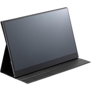エスケイネット（SKNET） 15.6型液晶デジタルハイビジョンモニター SK