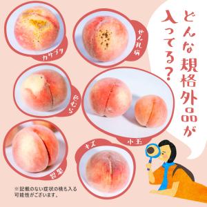 桃・あかつき・家庭用・5kgー 桃 福島 あか...の詳細画像2