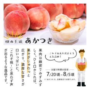 桃・あかつき・家庭用・5kgー 桃 福島 あか...の詳細画像3