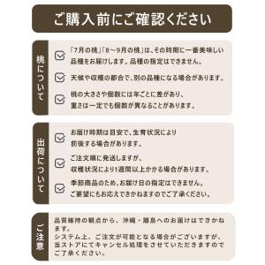 桃・あかつき・家庭用・5kgー 桃 福島 あか...の詳細画像5