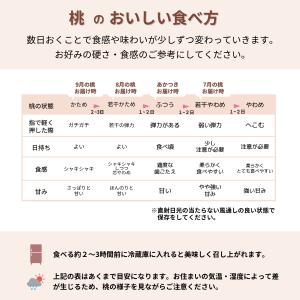 桃・あかつき・家庭用・5kgー 桃 福島 あか...の詳細画像4