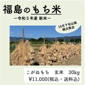 【数量限定】[２０２３新米] こがねもち（もち米）/福島県国見町産/30kg/玄米のまま発送（送料込み）｜hitobito