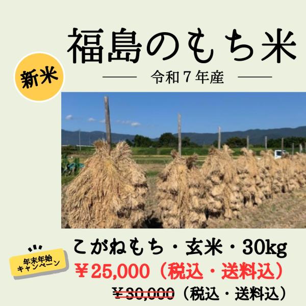 ※年末年始キャンペーン※ 【数量限定】[２０２５新米] こがねもち（もち米）/福島県国見町産/30k...
