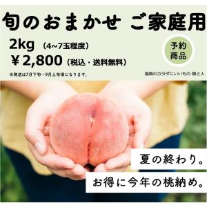 桃・品種おまかせ・家庭用・2kgー桃　福島　品種おまかせ　家庭用　訳あり　2kg｜hitobito