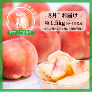桃・晩生品種おまかせ・家庭用・1.5kg・8月上旬〜9月上旬頃発送ー桃　福島　品種おまかせ　家庭用　訳あり　1.5kg