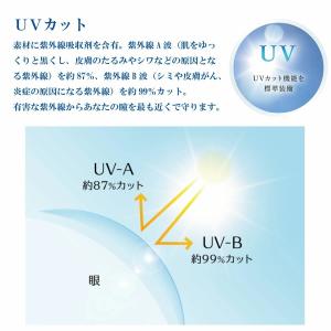 コンタクトレンズ 1day ワンデープログレス...の詳細画像3