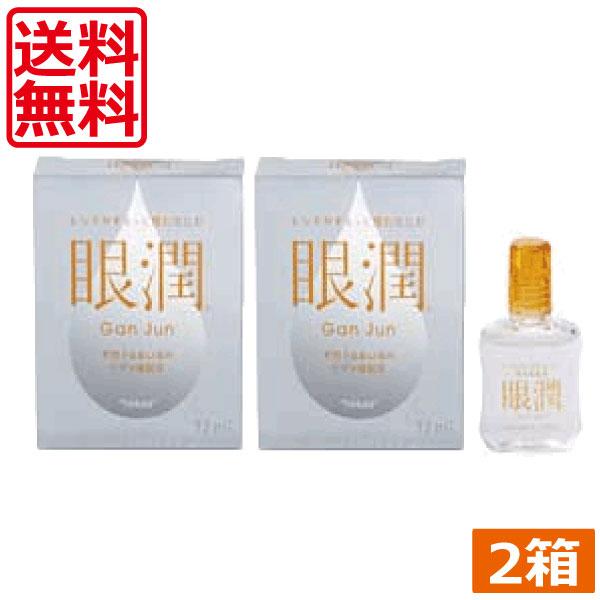 ハードレンズ用装着液 東レ 眼潤 (12ml)×2個　コンタクトケア　優良配送