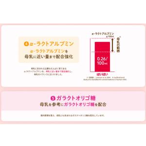 送料無料 和光堂 レーベンスミルク はいはい8...の詳細画像4