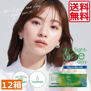 コンタクトレンズ 1day ネオサイトワンデーアクアモイスト（30枚入） 12箱　コンタクト　1day/１日 アイレ　ネオサイト　ワンデー　アクアモイスト