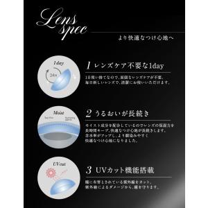 カラコン 1day loveil ラヴェール ...の詳細画像2