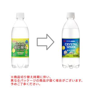 炭酸水 500ml 48本 強炭酸水 プレーン...の詳細画像1