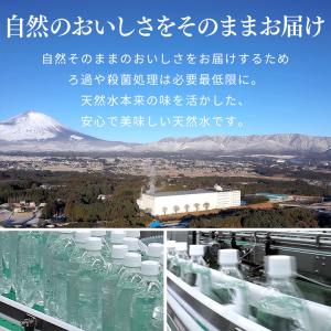 炭酸水 500ml 48本 強炭酸水 プレーン...の詳細画像5