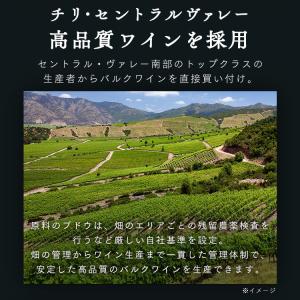 ワイン 3000ml 赤ワイン 白ワイン ボッ...の詳細画像2