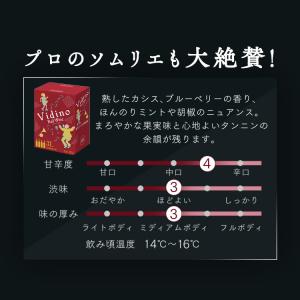 ワイン 3000ml 赤ワイン 白ワイン ボッ...の詳細画像4