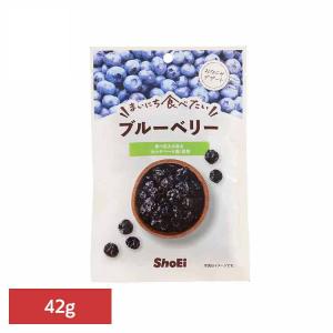 まいにち食べたい ブルーベリー