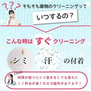 着物 クリーニング なんでも1点 丸洗い 汗と...の詳細画像5
