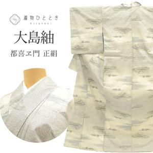 塩沢紬 夏塩沢 正絹 L ちょっとふくよかL 特品 身丈162.5 裄丈65.2