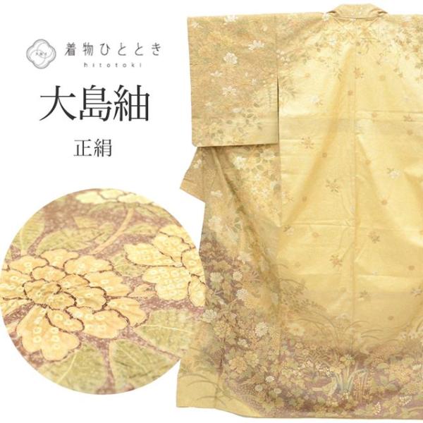 リサイクル着物 大島紬 染大島 正絹 仕立て上がり 中古 tt0881b 着物ひととき