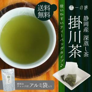 緑茶 ティーバッグ 掛川 深蒸し茶 5g×12P チャック付袋詰 メール便 送料無料
